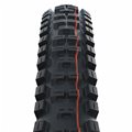 OP.SCHW BIG BETTY/24X2.40/SOFT/TLE/SG