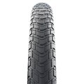 OP.SCHW MOTION BIG APPLE/50-559/STAND/RE