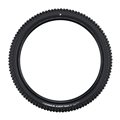 OP.SCHW ALBERT/29X2.60/PRO/SOFT/RADIAL